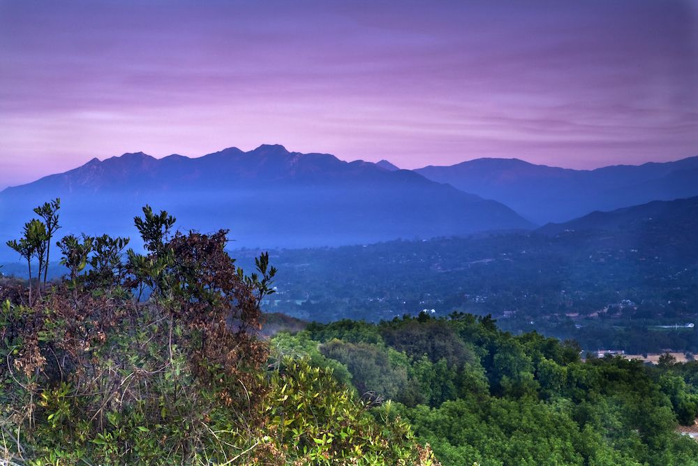 The Gossip Column: November 15, 2024